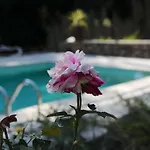 Charming In - 25m² With Pool Appartamento *