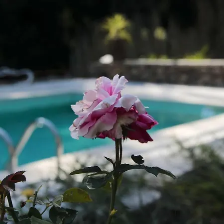 Charming In - 25m² With Pool Διαμέρισμα *