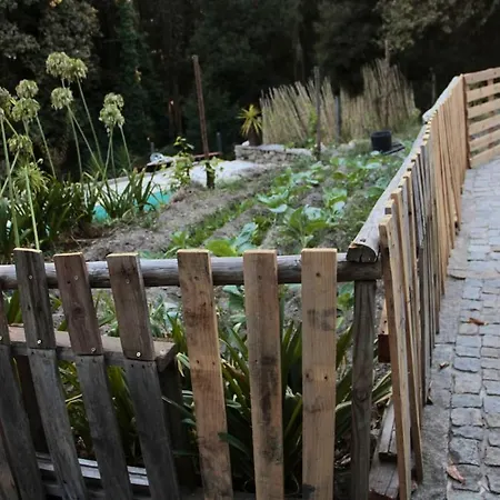 Διαμέρισμα Charming In - 25m² With Pool *