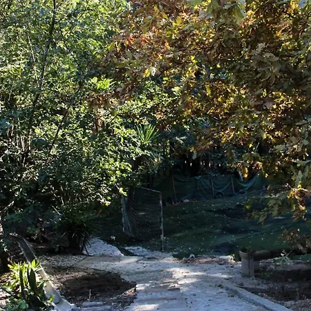 Charming In - 25m² With Pool *