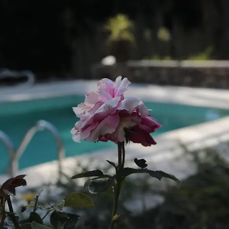 アパート Charming In - 25m² With Pool Marco de Canavezes