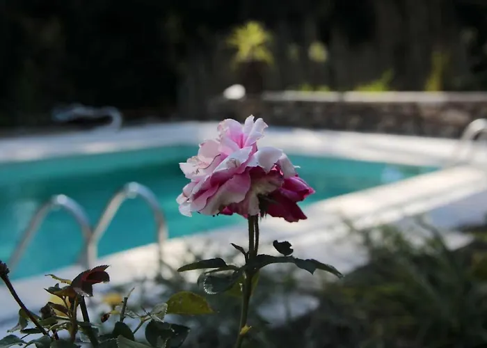 Charming In - 25m² With Pool アパート *