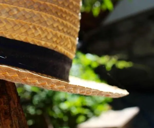 Charming In - 25m² With Pool * Marco de Canavezes