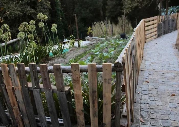 דירה Charming In - 25m² With Pool *