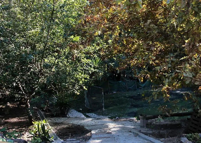 Charming In - 25m² With Pool *